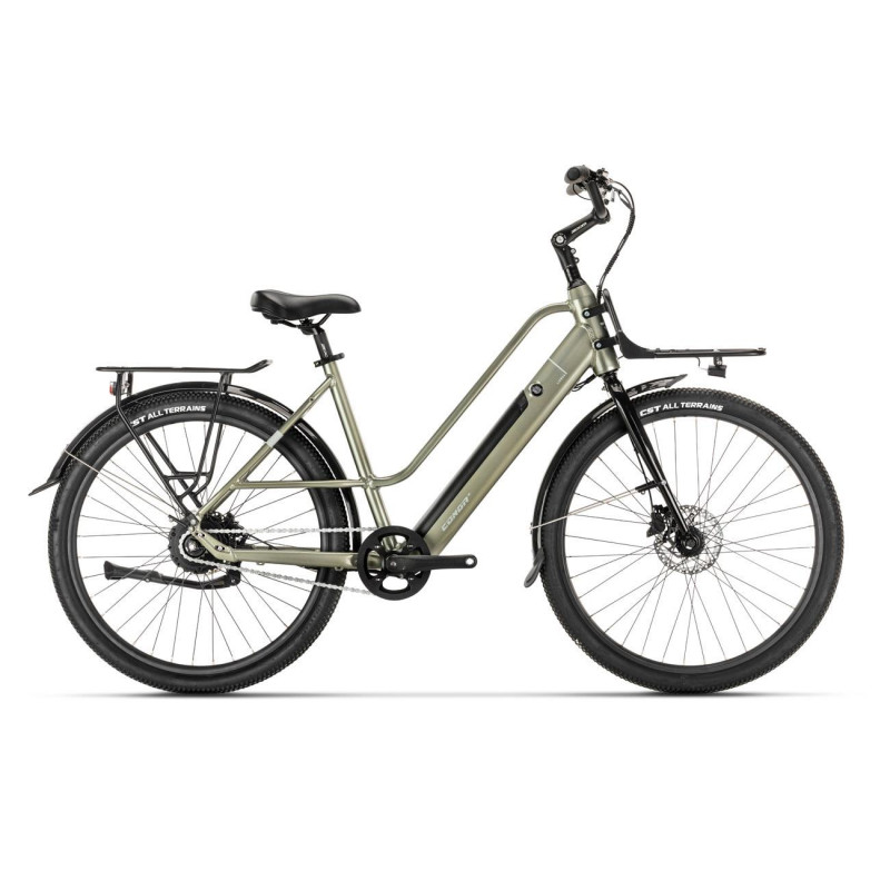 Bicicleta electrica de carga cheap